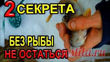ДВА СЕКРЕТА БЫТЬ ВСЕГДА С РЫБОЙ НА ЗИМНЕЙ РЫБАЛКЕ