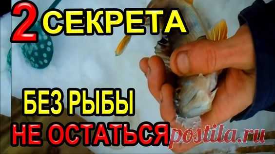 ДВА СЕКРЕТА БЫТЬ ВСЕГДА С РЫБОЙ НА ЗИМНЕЙ РЫБАЛКЕ