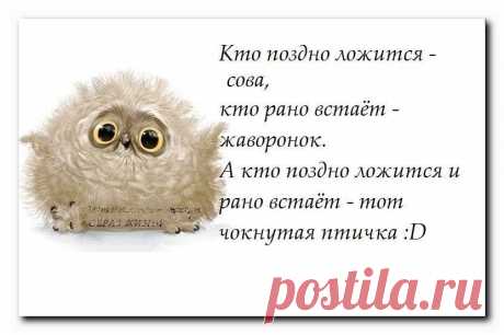 Это точно про меня,это я та чёкнутая птичка:))