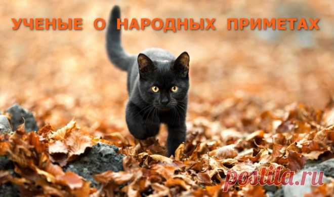 Как ученые объясняют народные приметы &raquo; Женский Мир