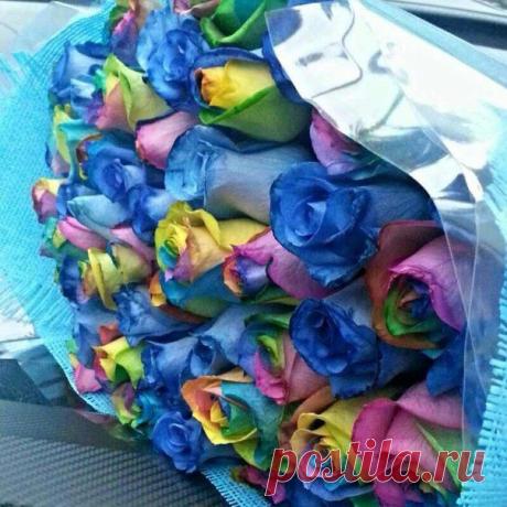 Радужные розы 
87714707518 Доставка по Алматы и Казахстану