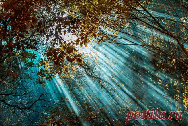 500px / hidden sunlight by Filiz TÜLÜ