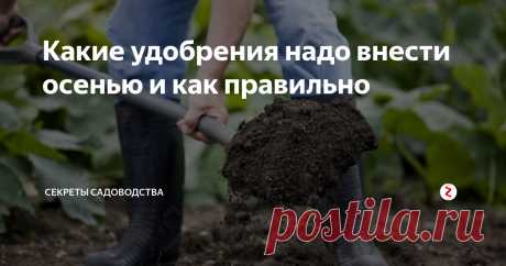 Какие удобрения надо внести осенью и как правильно Хотите получить богатый урожай на следующий год? Внесите удобрения осенью!