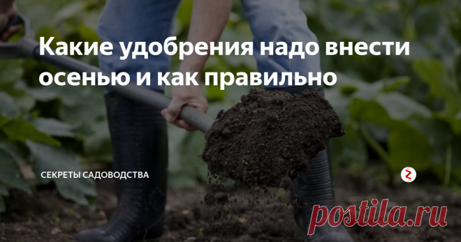 Какие удобрения надо внести осенью и как правильно Хотите получить богатый урожай на следующий год? Внесите удобрения осенью!