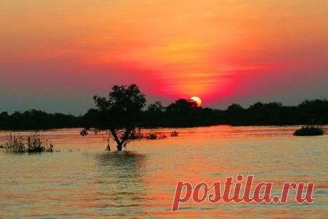 Природа, животные и птицы | Фотографии Александр Пехов | 390 фото