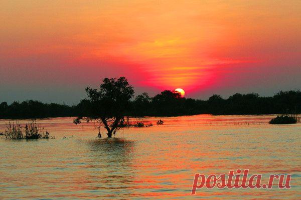 Природа, животные и птицы | Фотографии Александр Пехов | 390 фото