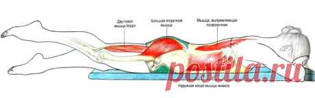 Упражнения для укрепления и расслабления мышц спины. 5 Эффективных упражнений.