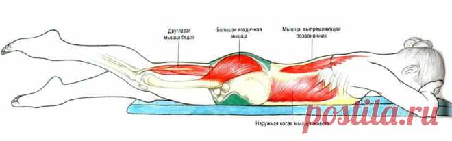 Упражнения для укрепления и расслабления мышц спины. 5 Эффективных упражнений. | health and beauty | Яндекс Дзен