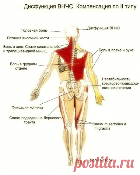 Лечение дисфункций височно-нижнечелюстного сустава (ВНЧС)