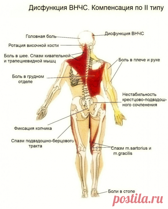 Лечение дисфункций височно-нижнечелюстного сустава (ВНЧС)