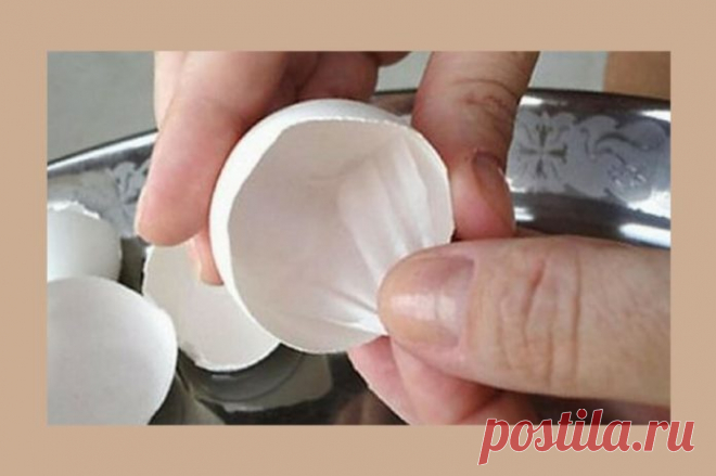 Оболочка от яичной скорлупы для здоровья и красоты / Будьте здоровы