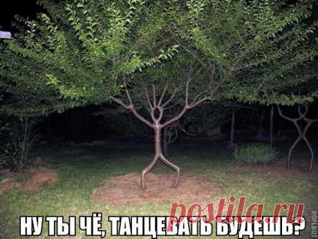 Интересные новости