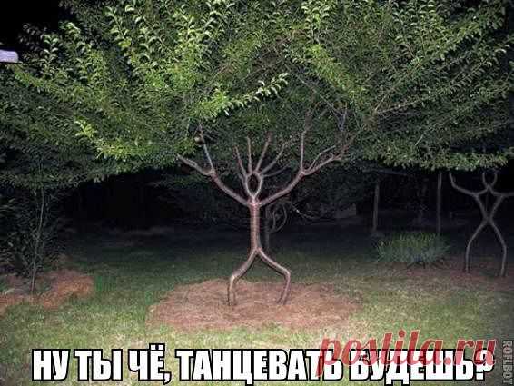 Интересные новости
