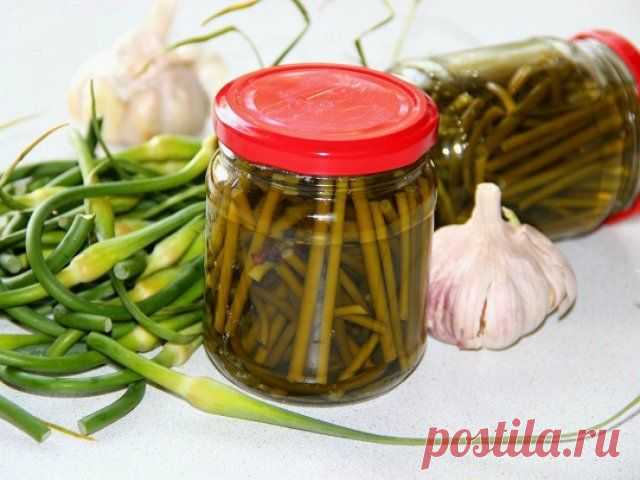 Что приготовить из чесночных стрелок – рецепты заготовок на зиму и не только | Статьи (Огород.ru)