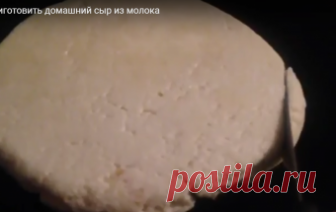 Домашний сыр из магазинного молока / Видео-рецепты / TVCook: пошаговые рецепты с фото