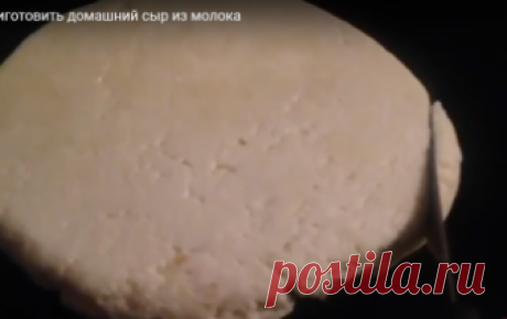 Домашний сыр из магазинного молока / Видео-рецепты / TVCook: пошаговые рецепты с фото