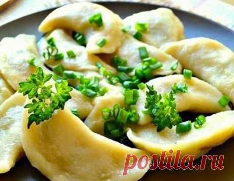 Найкращі рецепти пісних вареників на Святвечір: з гречкою, квасолею, квашеною капустою - «Волинь» — незалежна громадсько–політична газета