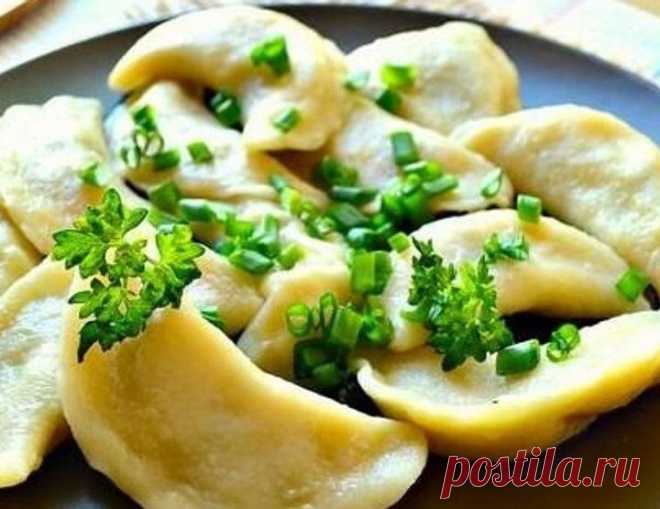 Найкращі рецепти пісних вареників на Святвечір: з гречкою, квасолею, квашеною капустою - «Волинь» — незалежна громадсько–політична газета