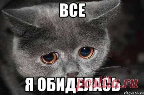 Прикольные картинки я обиделась