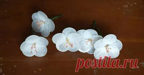 Пакет+ножницы+пара простых действий и вы получите отличный результат | Домашние хлопоты | Яндекс Дзен