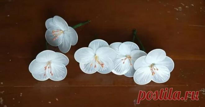 Пакет+ножницы+пара простых действий и вы получите отличный результат | Домашние хлопоты | Яндекс Дзен