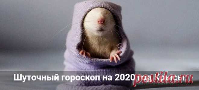 Шуточный гороскоп на 2020 год Крысы: в стихах и прозе Шуточный гороскоп на 2020 год Крысы в стихах и прозе для всех знаков зодиака. Смешной и прикольный астрологический прогноз с юмором.