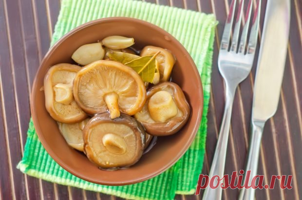 Соленые грузди на зиму — Домашняя кулинария