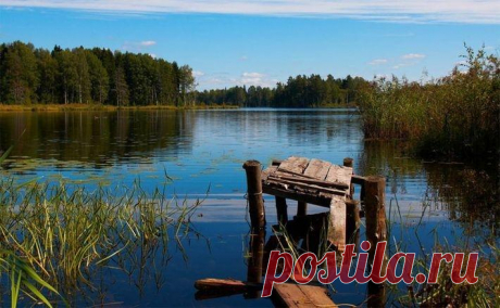 10 обычных предметов, которые помогут выжить в трудных условиях