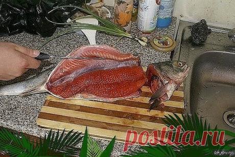 Золотая рыбка! Купил кету за 450 рублей, а в ней - икры на 1000 рублей
Красная рыба засоленная... в морозилке - необычный рецепт приготовления. 
Хотите удивить близких, сохраняйте в копилочку идей ! 
Приготовить тузлук (на 1-1.5 кг рыбы): на 1 литр воды 5 столовых ложек соли и 5 столовых ложек сахара. Соль и сахар берем без горки,но и не снимая излишки ножом. Можно соль-сахар растворять в холодной воде, а можно вскипятить раствор и полностью остудить. 
Залить тузлуком, при...