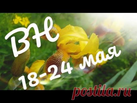 Вышив/неделя 18-24 мая//РАСХОМЯЧКА 2//Мои планы на 2ое полугодие//Организация хранения запасов