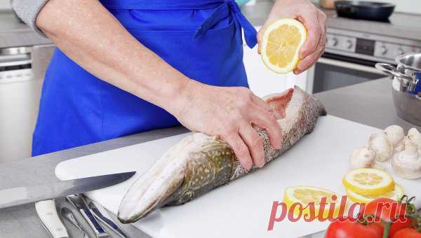 РЫБА И ГЛАВНОЕ О НЕЙ....