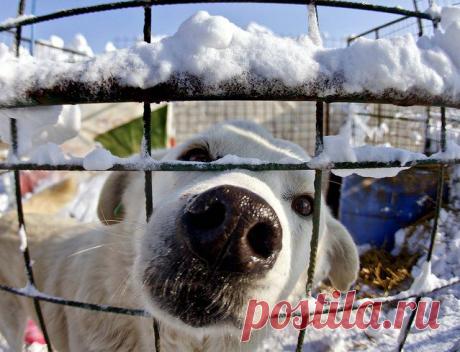 Красоты зимы