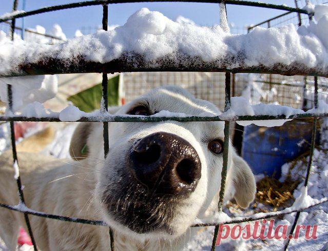 Красоты зимы