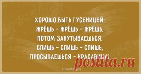 25 саркастичных открыток – Фитнес для мозга