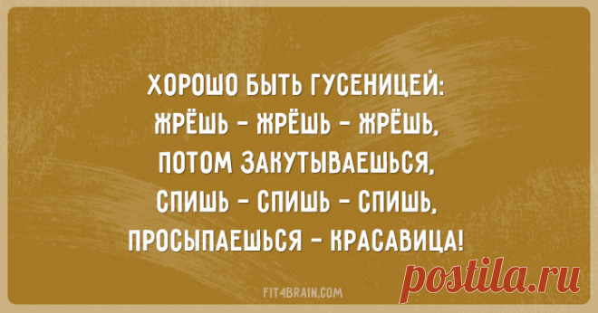 25 саркастичных открыток – Фитнес для мозга