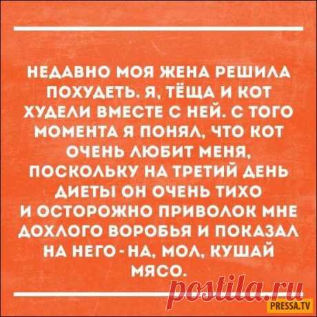 Смешные “Аткрытки” (19 фото) | Чёрт побери