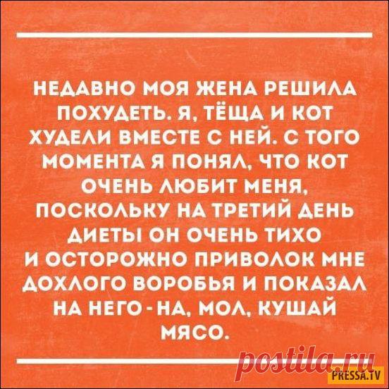 Смешные “Аткрытки” (19 фото) | Чёрт побери