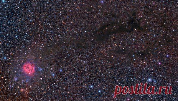 Широкое поле вокруг туманности Кокон / Интересный космос