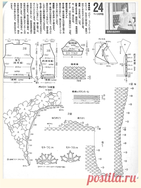 scale_1200 (567×756)