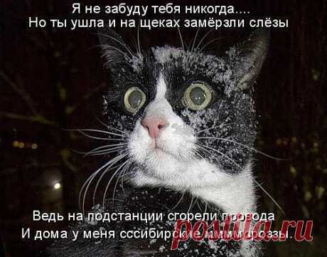р