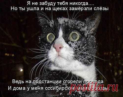 р