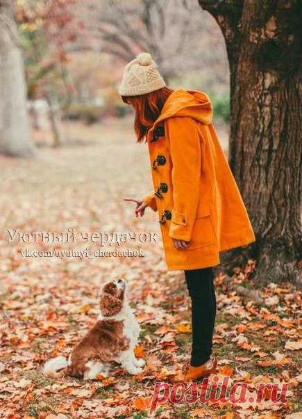 https://ru.pinterest.com/pin/379639443564869898/