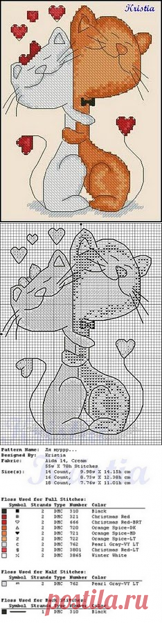 Котики