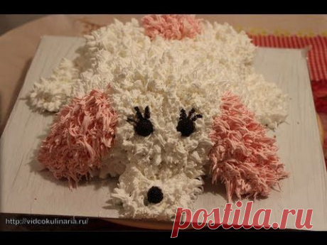 Рецепт -Торт Собачка от videokulinaria.ru - YouTube