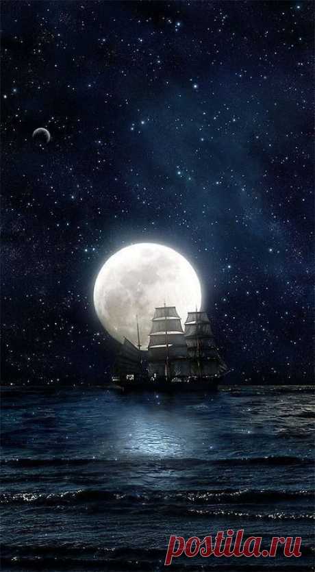 tumblr_oqhevxJs9B1ripa0eo1_500.jpg (413×750)