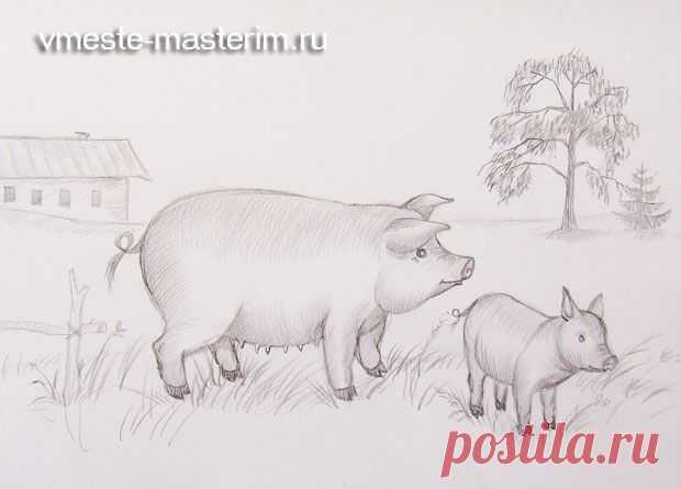 Как нарисовать свинью и поросенка поэтапно (мастер-класс)