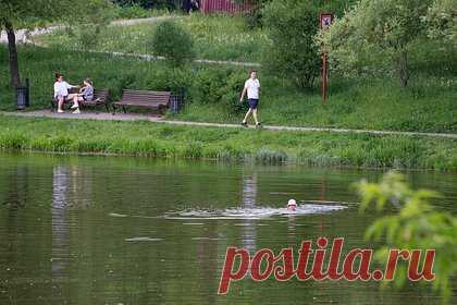 Врач предупредила россиян о живущей в некоторых водоемах пожирающей мозг амебе