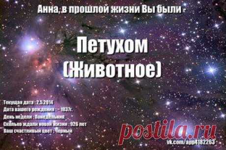 Фотографии Анны Зыряновой | 19 альбомов
