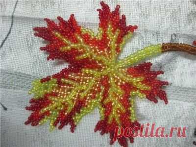 Кленовый лист.