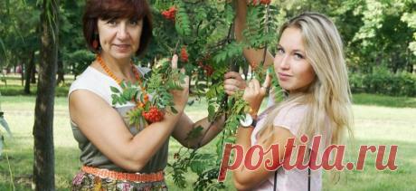 50 жизненных советов, которые мать может дать своей дочери
Джина Мэйджорс — успешная женщина, воспитывающая двух девочек, одна из которых давеча...
Читай пост далее на сайте. Жми ⏫ссылку выше